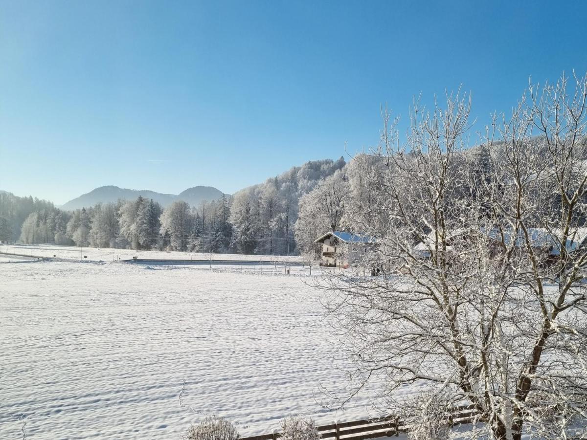 Ferienwohnungen Am Alpenrand Siegsdorf Luaran gambar