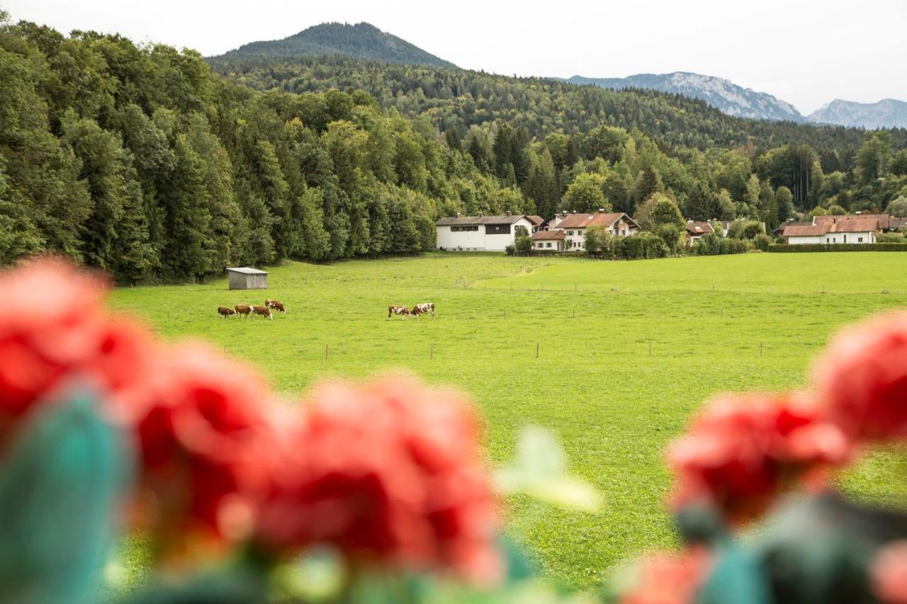 Ferienwohnungen Am Alpenrand Siegsdorf Luaran gambar