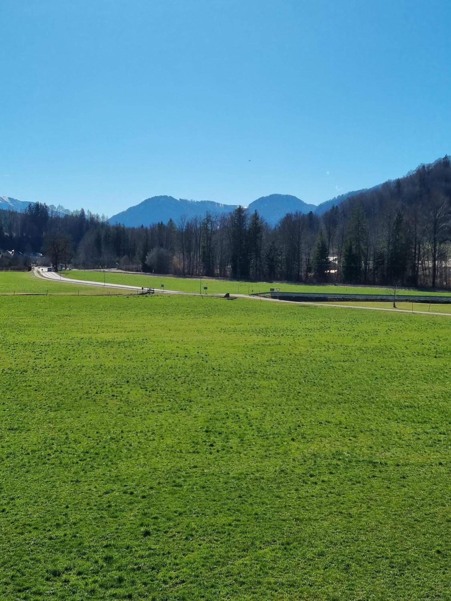 Ferienwohnungen Am Alpenrand Siegsdorf Luaran gambar