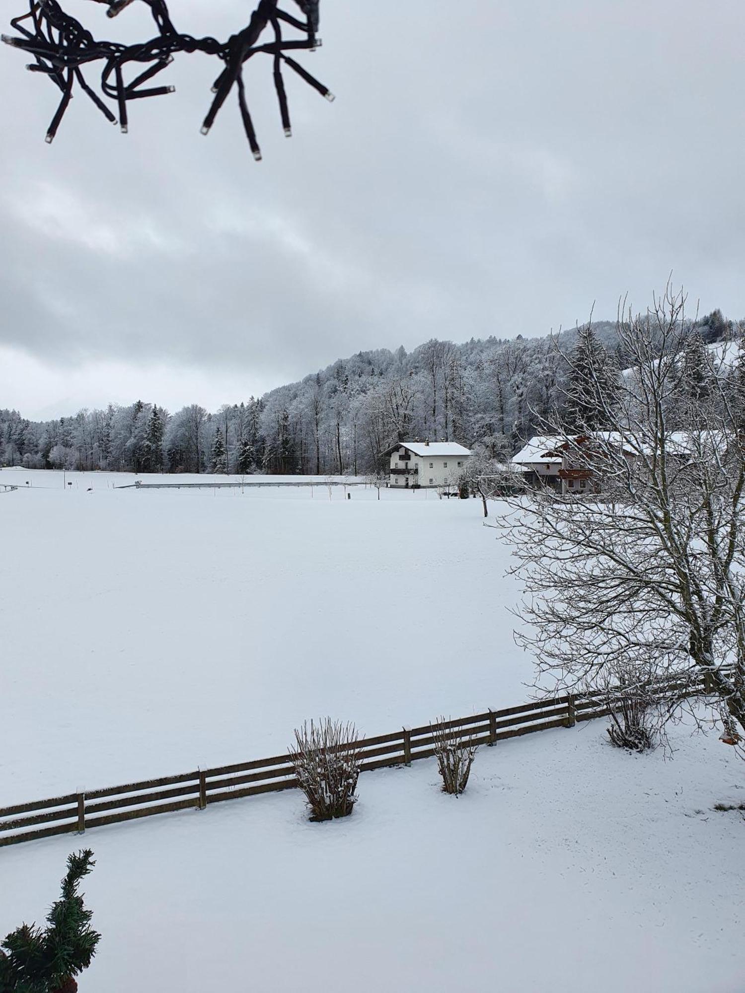 Ferienwohnungen Am Alpenrand Siegsdorf Luaran gambar