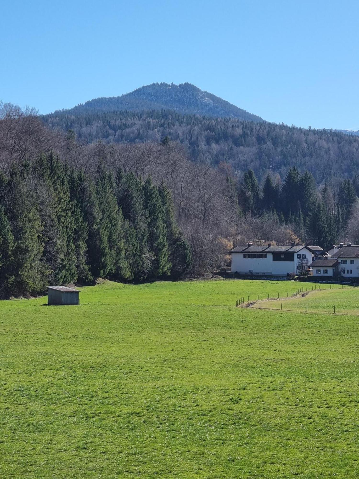 Ferienwohnungen Am Alpenrand Siegsdorf Luaran gambar